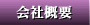 ЊTv