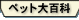 ڥåɴ