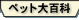 ڥåɴ