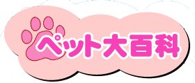 ڥåɴ