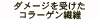 _[W󂯂R[Q@